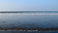 Sea waves on a beach in world longest sea beach CoxÃ¢â¬â¢s BazaarÃÂ ÃÂ 